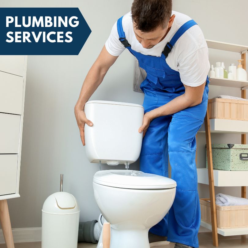 Plumbing Company in Bascom, FL